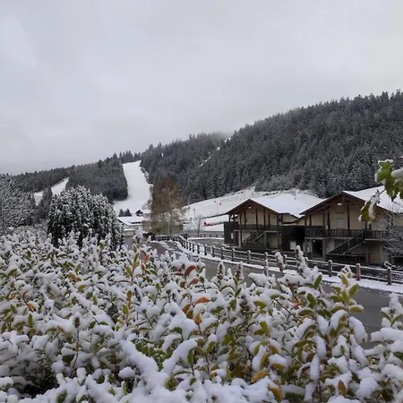 Au Centre De Daire